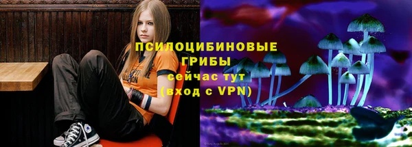 mdpv Снежногорск